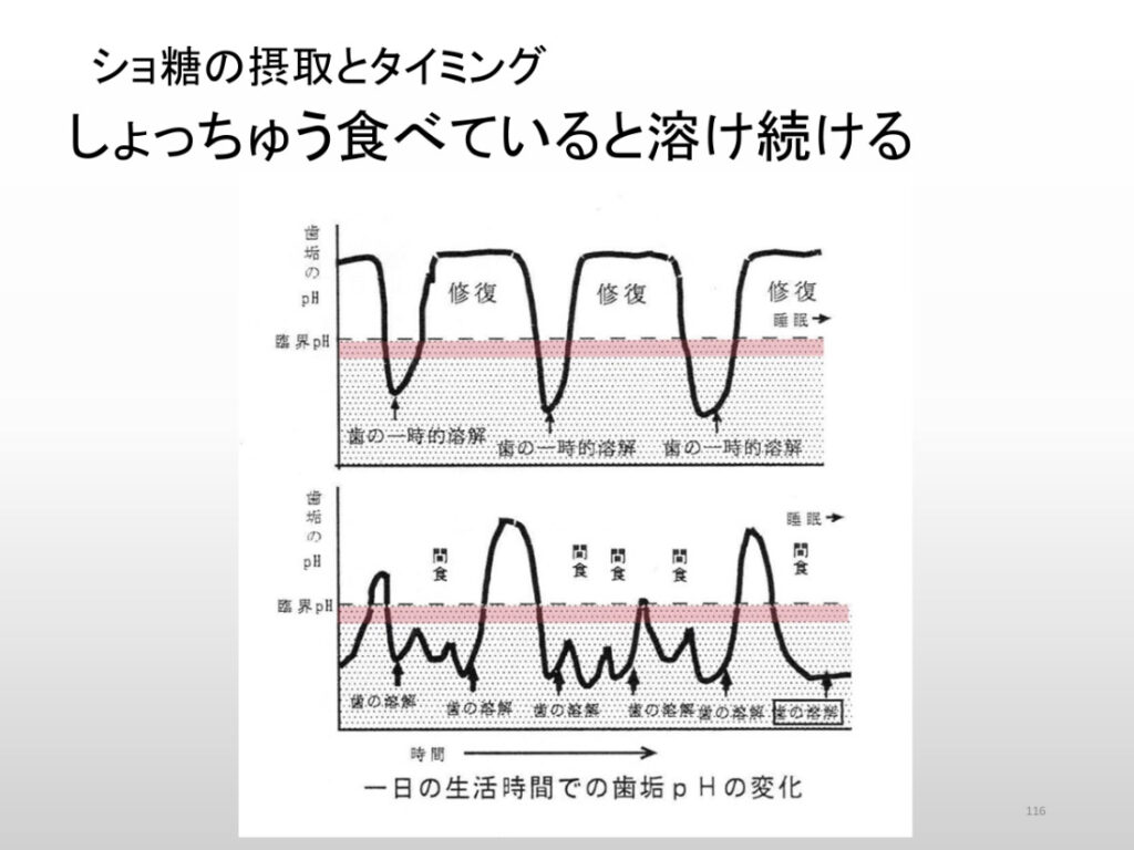 ショ糖接種のタイミング