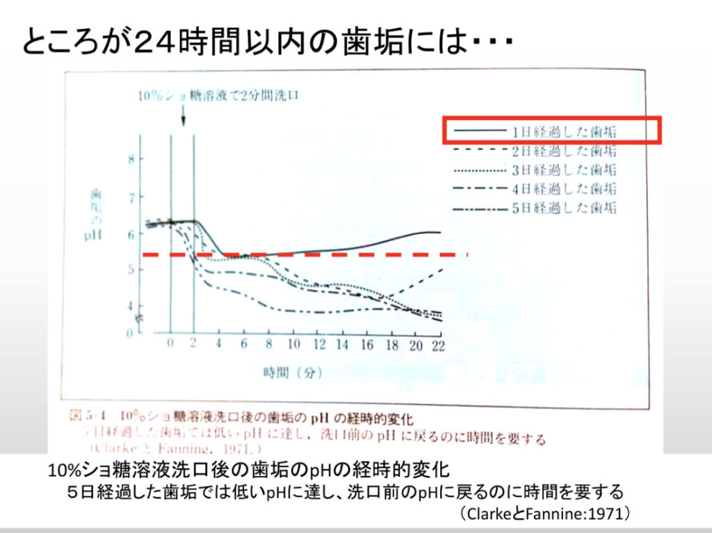 歯垢
